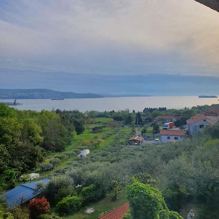 Apartma Aleksandra Анкаран Экстерьер фото