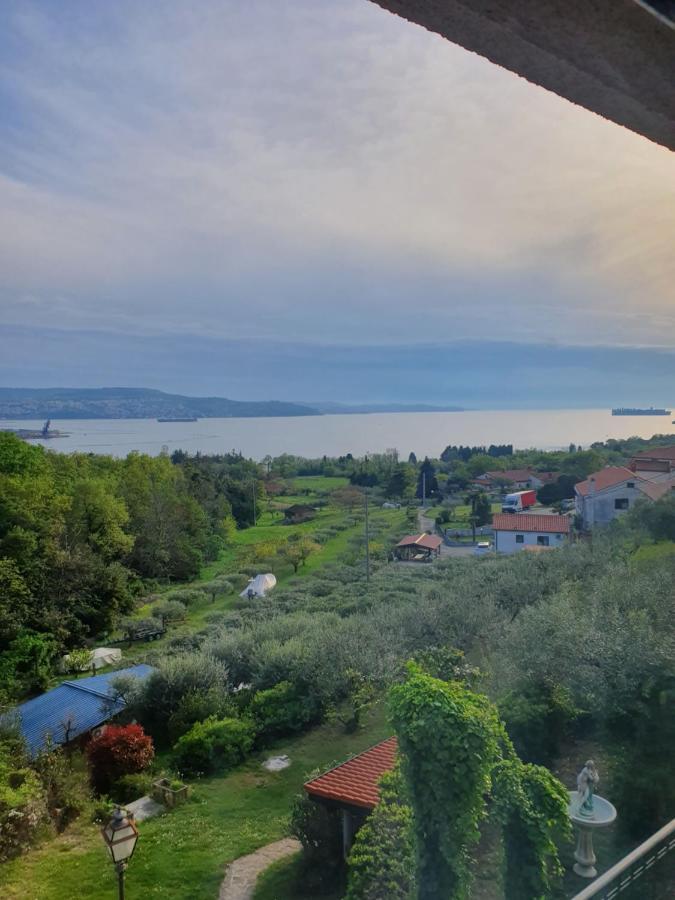 Apartma Aleksandra Анкаран Экстерьер фото